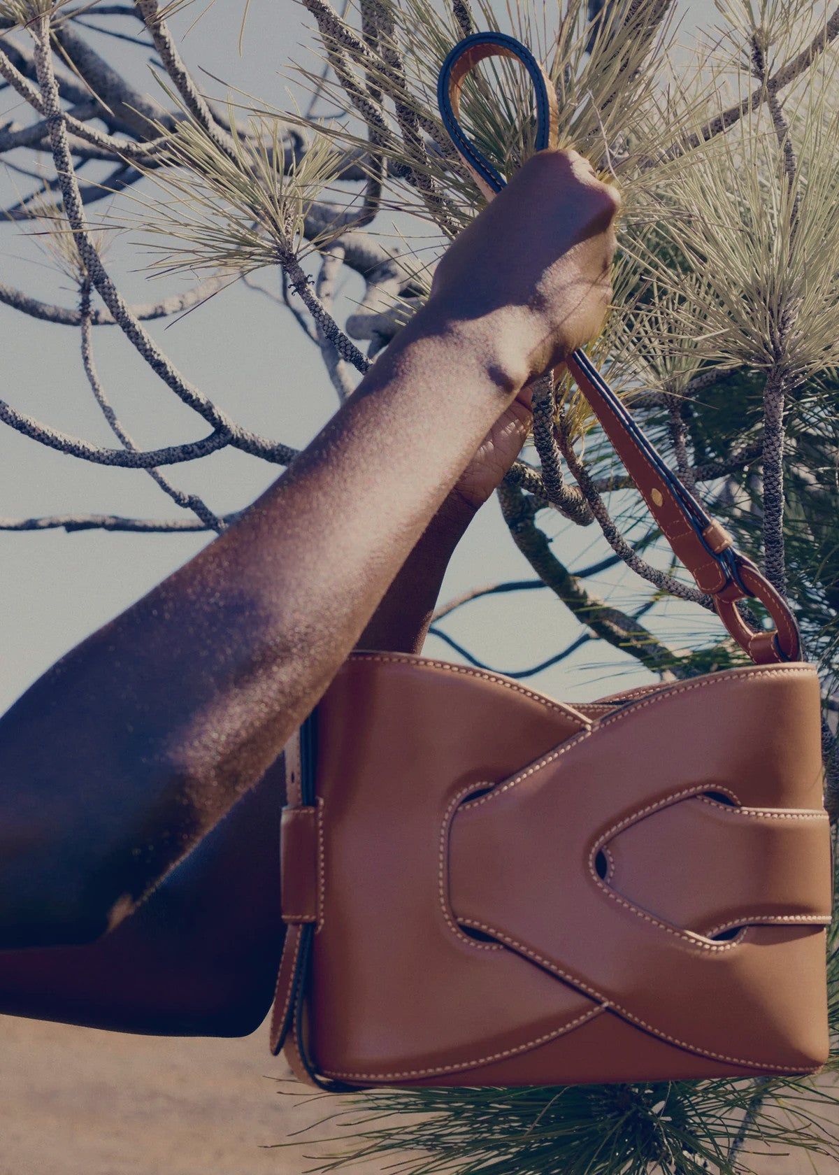 Nodde Edition Smooth Cognac